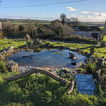 The Pasty - Lydcott Glamping Apartamento Looe Exterior foto